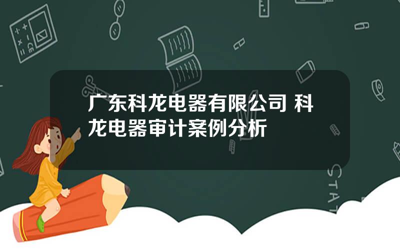 广东科龙电器有限公司 科龙电器审计案例分析